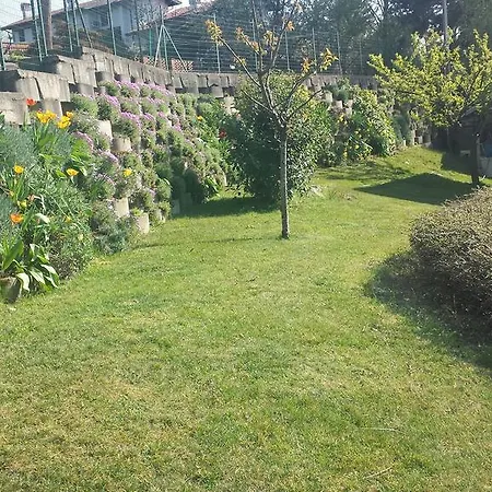 Il Colle Fiorito Bed & Breakfast *