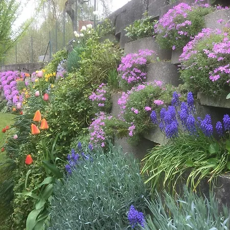 Panzió Il Colle Fiorito Oleggio Castello
