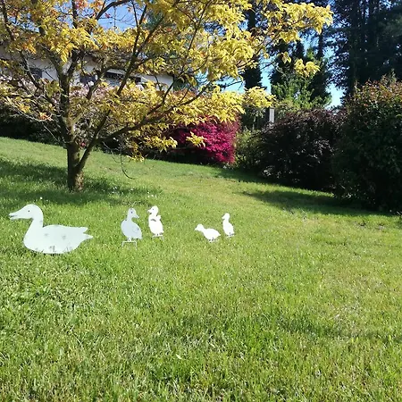 Il Colle Fiorito Oleggio Castello