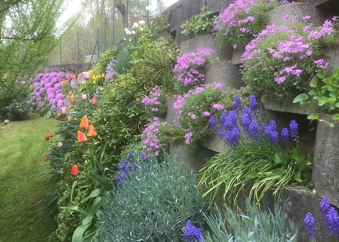 B&B Il Colle Fiorito 올레기오카스텔로