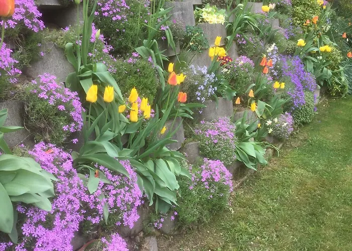 Frühstückspension Il Colle Fiorito